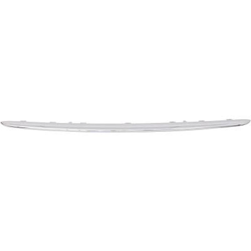 Baguette et bande protectrice, grille de radiateur — BMW Mini (2010-2014)
