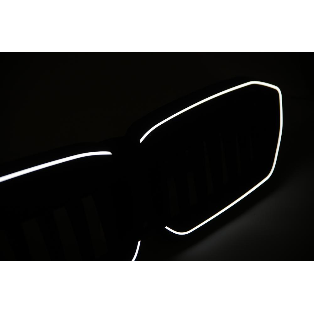 Grille de radiateur — BMW Série 3 Berline/Touring (G20) (2019-2022) — vue 10