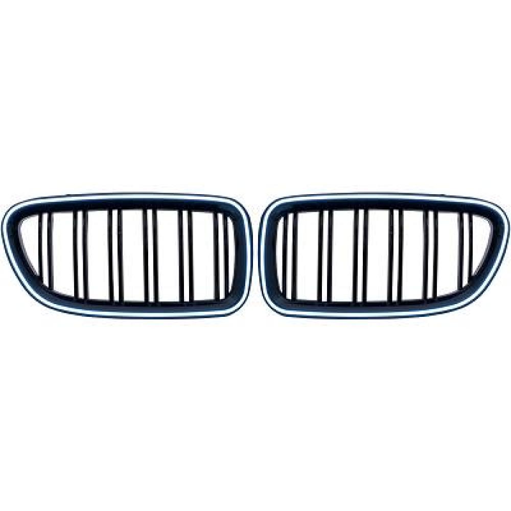 Grille de radiateur — BMW Série 5 (F10/11 LCI) (2013-2017) — réf. 1225241