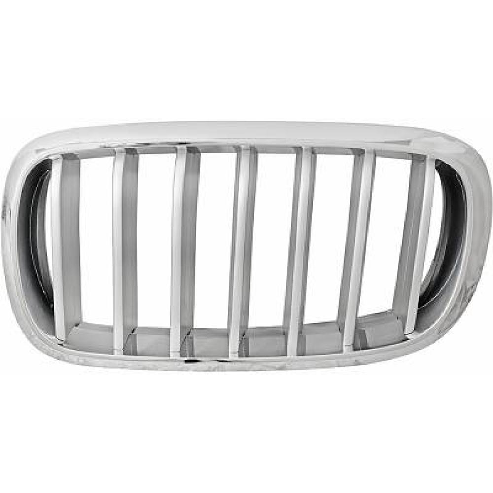 Grille de radiateur gauche — BMW X5 (F15) (2013-…)