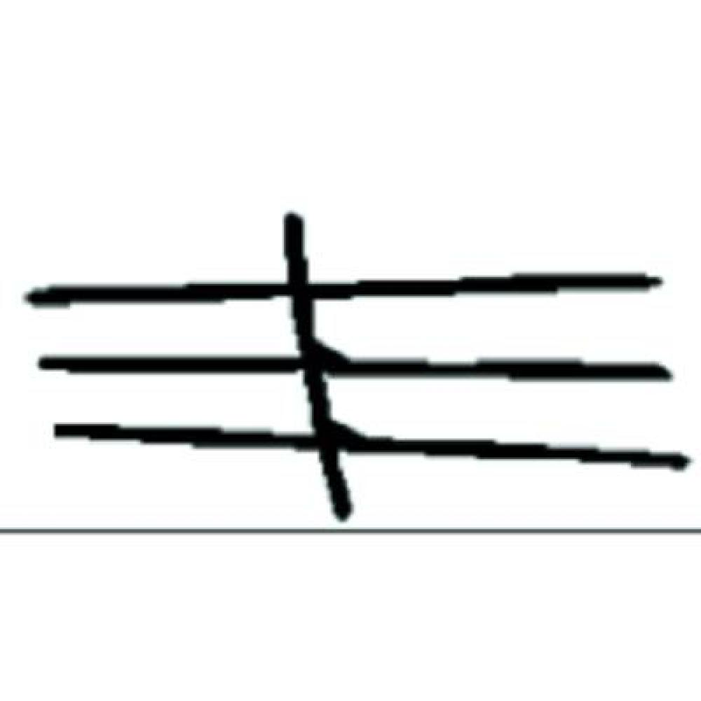 Baguette et bande protectrice, grille de radiateur — Mercedes-Benz 200-280E (W123) (1976-1984)