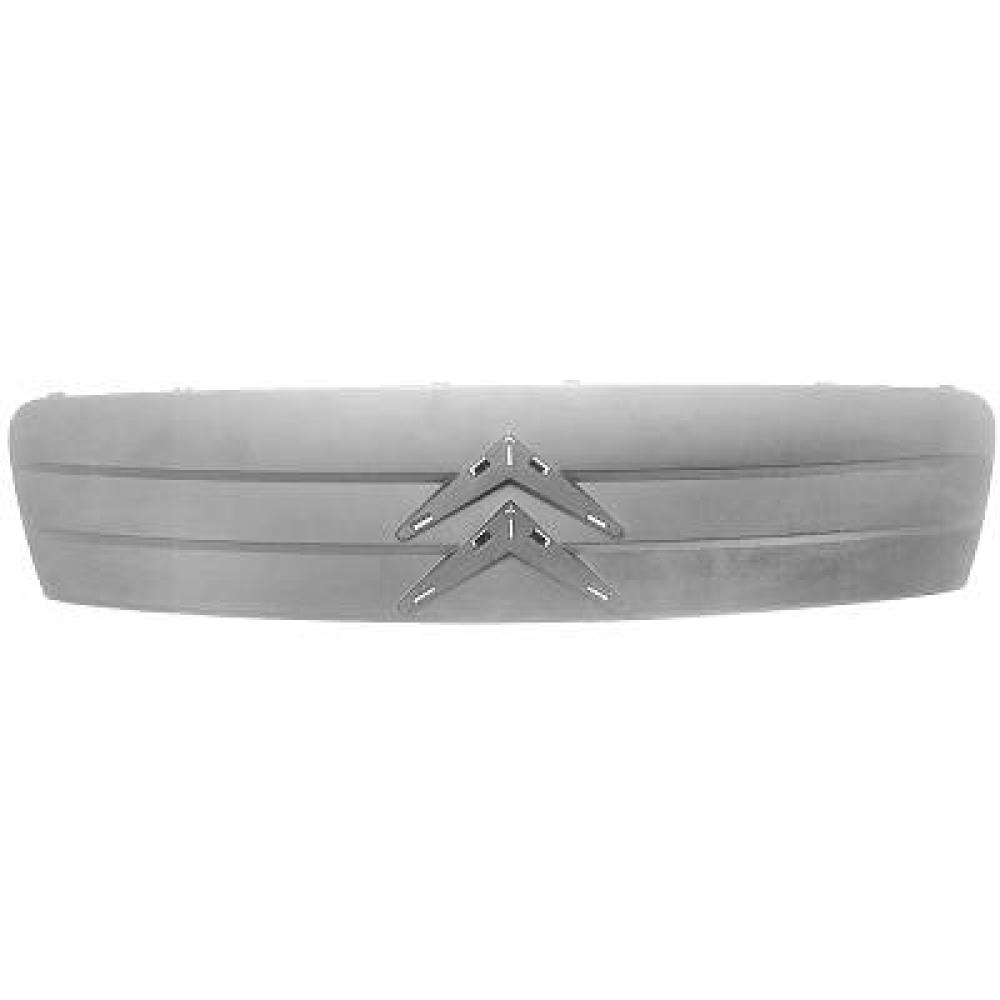 Grille de radiateur — Citroën C2 (2003-2008) — réf. 4000041