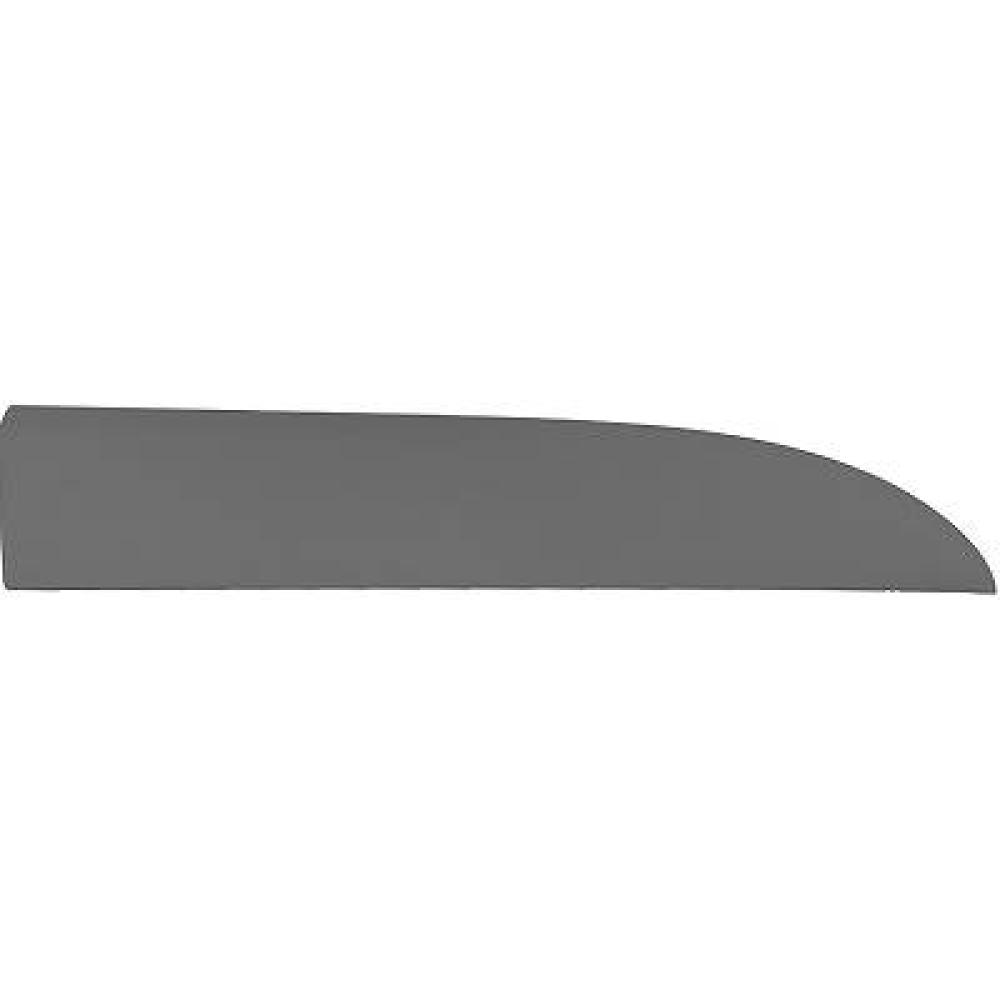 Baguette et bande protectrice, porte avant droite — Nissan NV 300/Primastar (2021-…) — réf. 4497260